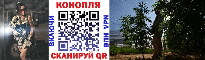 Купить где  Североморск  Конопля планчик 